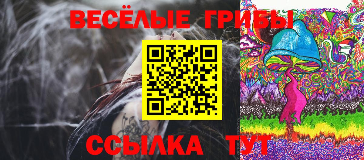 Новотроицк  наркошоп  Вход с VPN  Псилоцибиновые грибы мицелий 